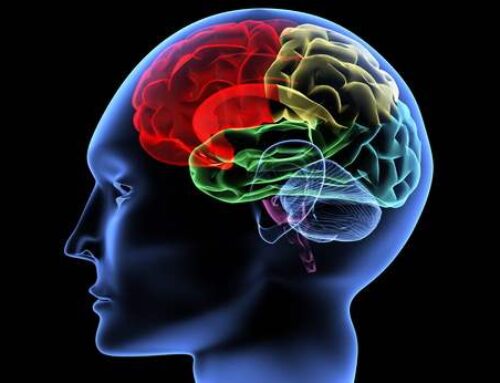 Clutter and The Brain